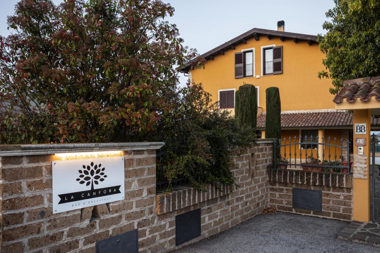 La Canfora * Atri