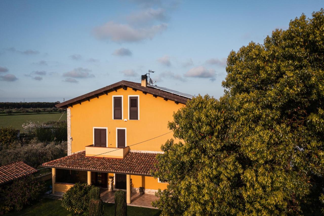 La Canfora * Atri