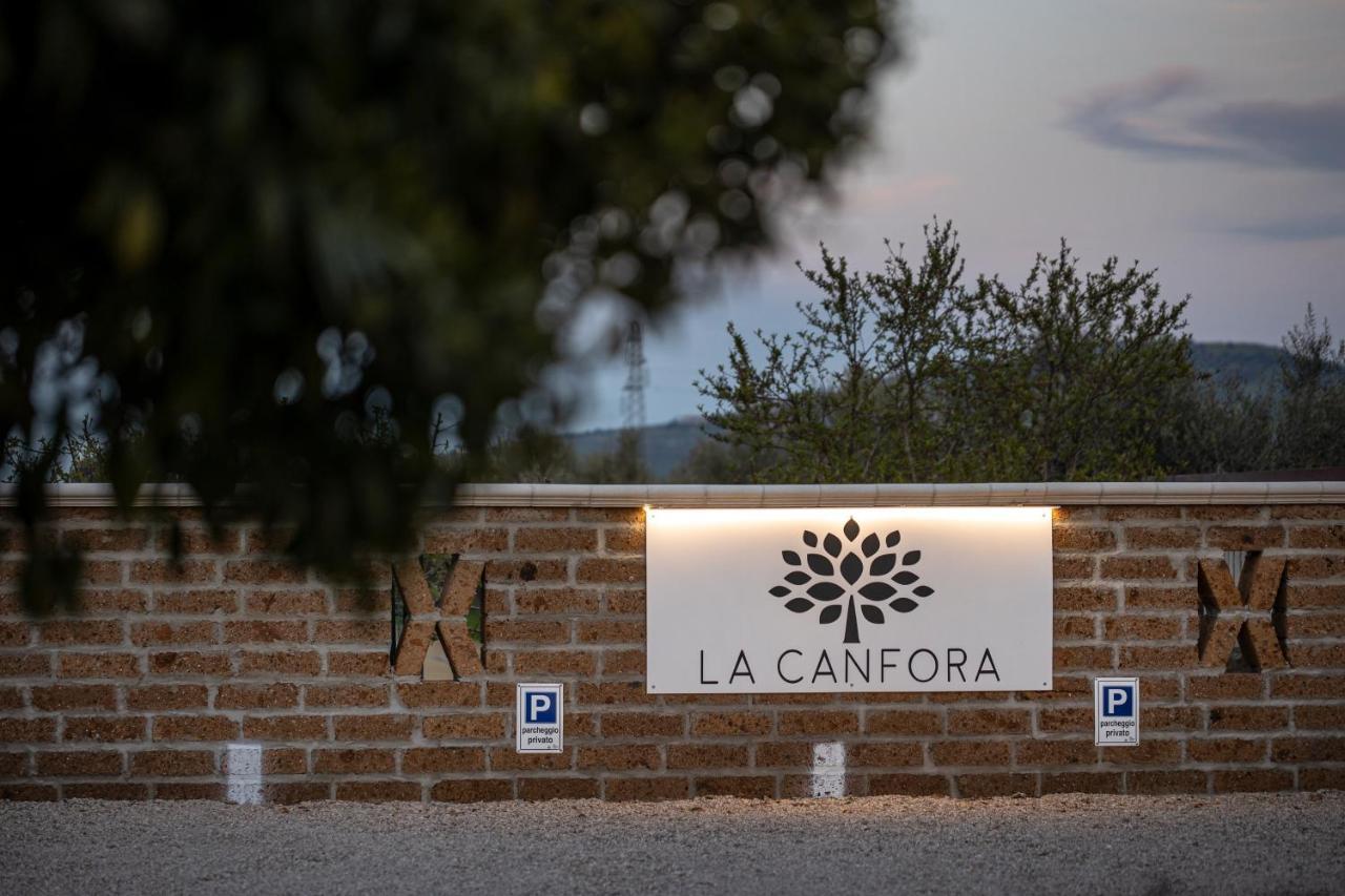 La Canfora * Atri